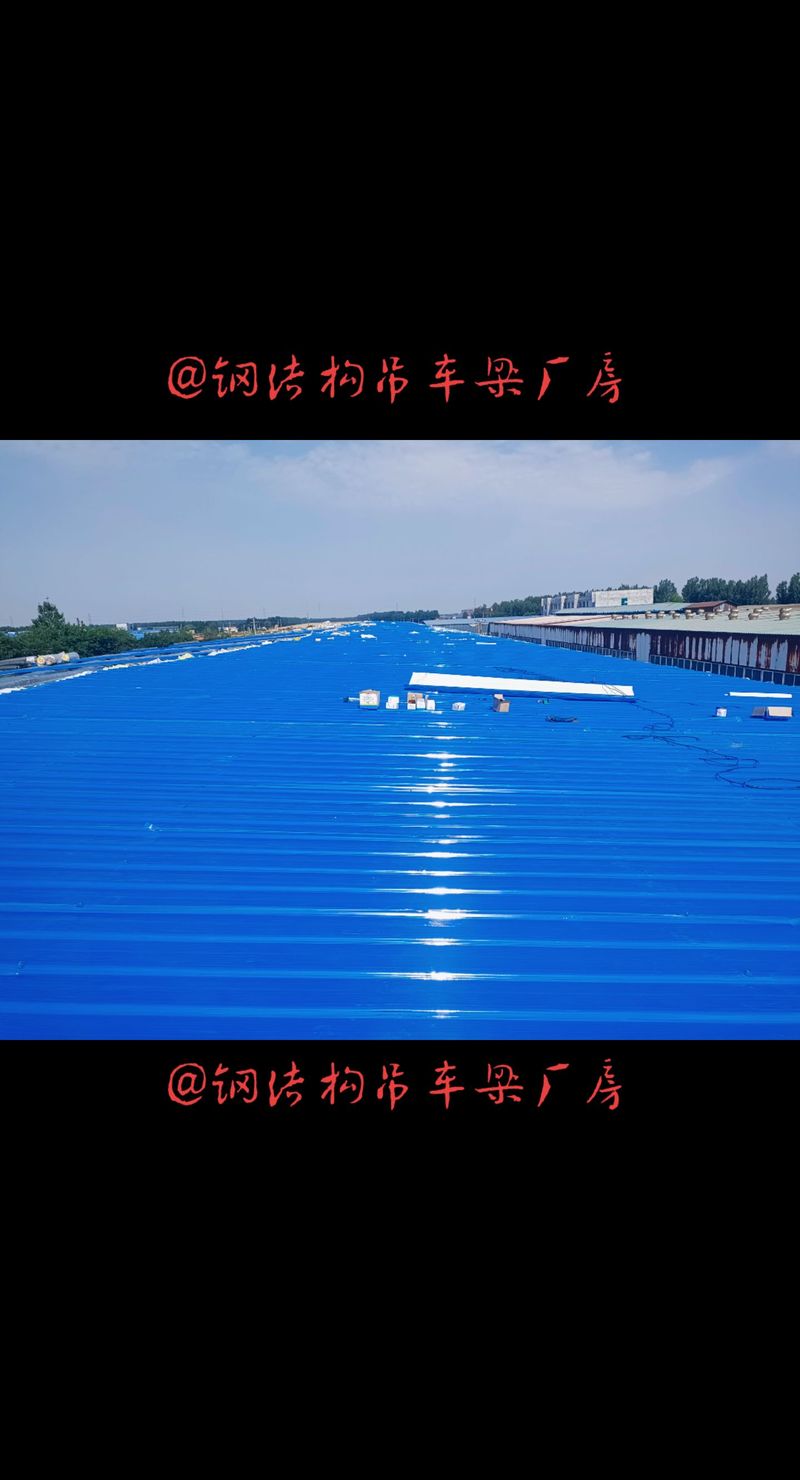 鋼結構廠家a衡水鋼結構施工安裝廠家磊